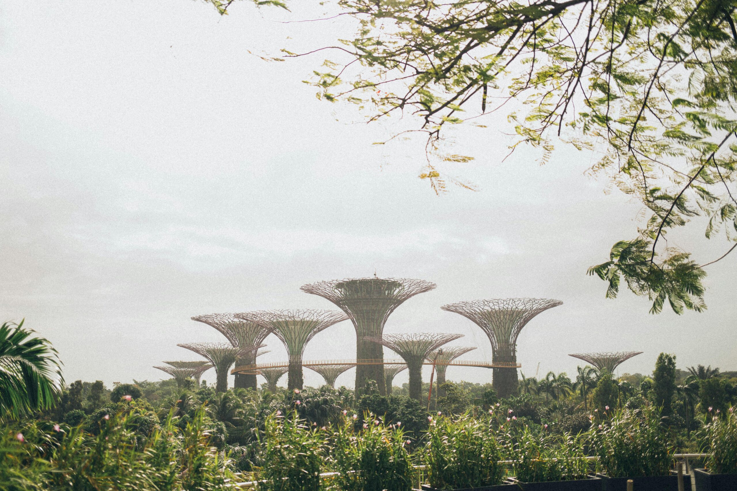 Gardens by the bay singapore